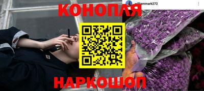 спайс Кулебаки