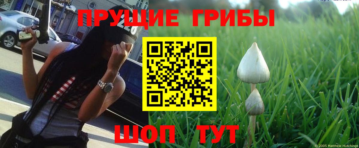 Галлюциногенные грибы Magic Shrooms Елабуга