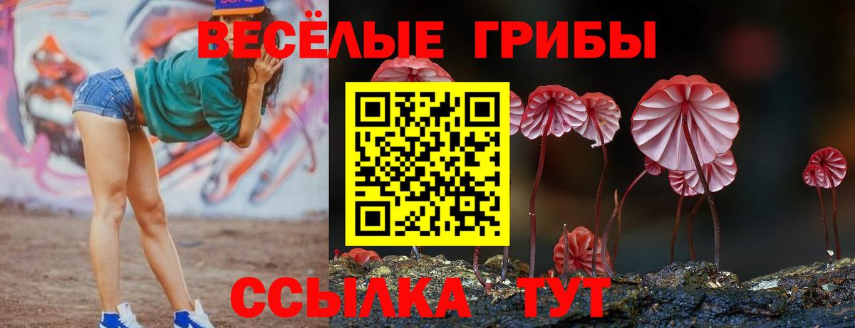 Елабуга  Галлюциногенные грибы мицелий  Вход с VPN 